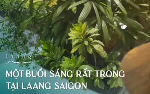 Không gian nhà hàng Laang xanh mát vào buổi sớm